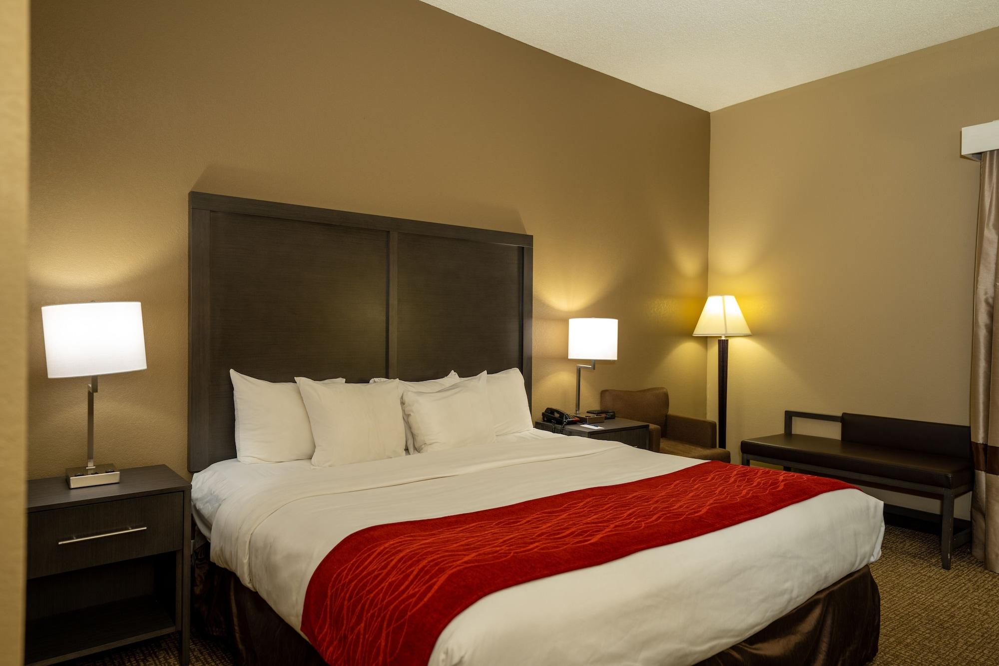 Comfort Inn Opelika - Auburn Экстерьер фото