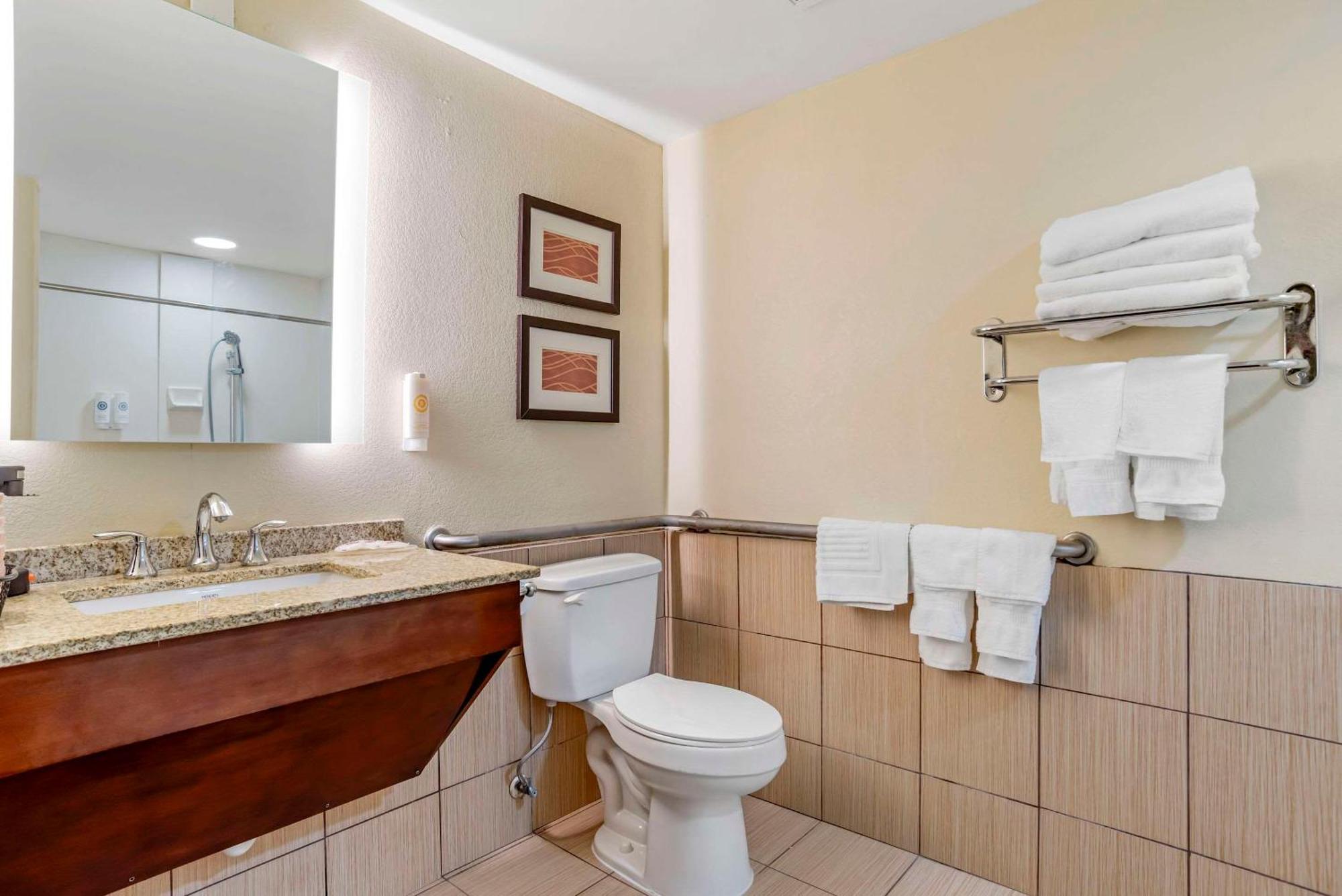 Comfort Inn Opelika - Auburn Экстерьер фото