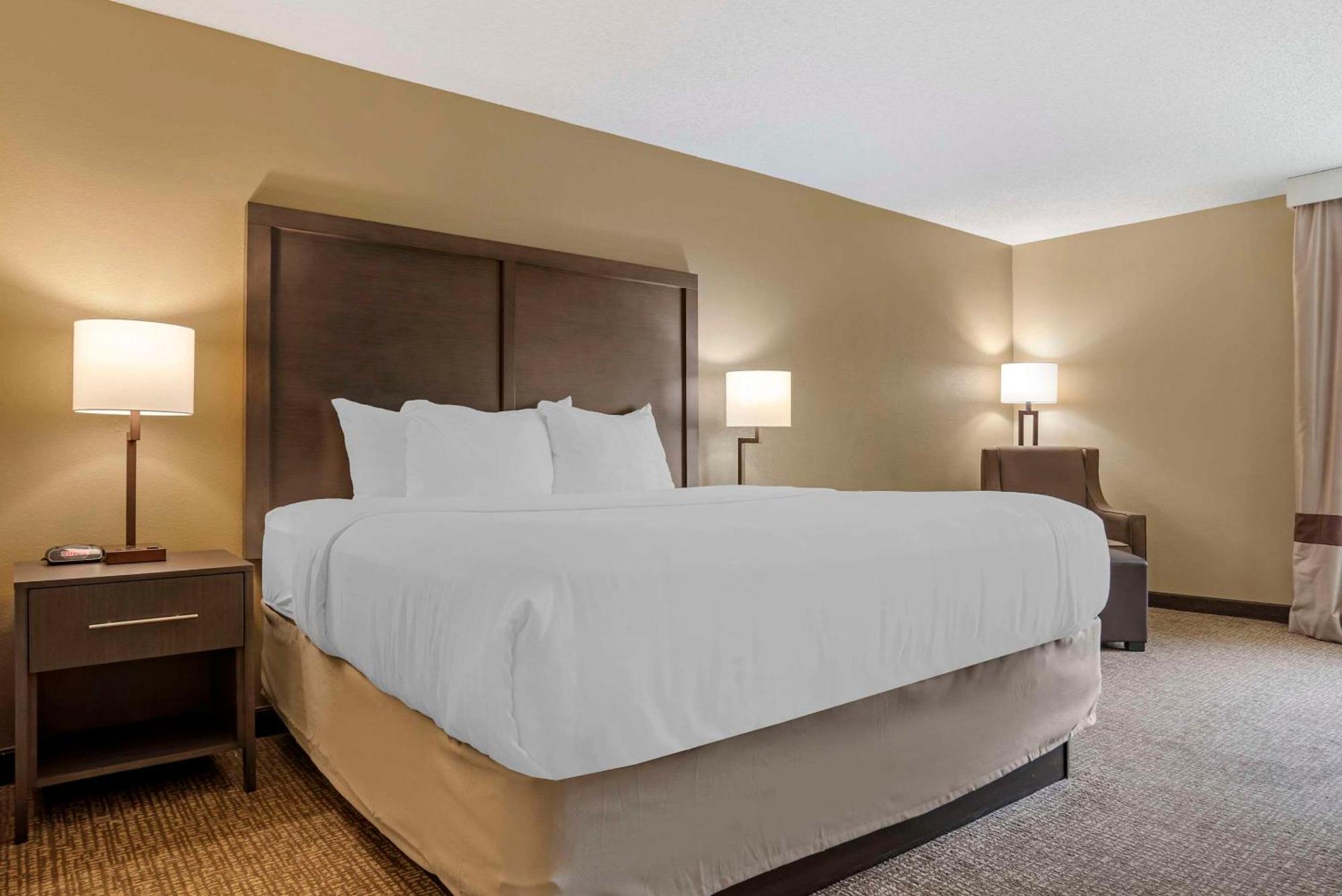 Comfort Inn Opelika - Auburn Экстерьер фото
